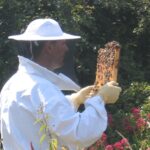 Summer Inspection at Staincross Apiaries