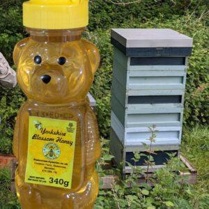 340g Honey Squeeze Bear