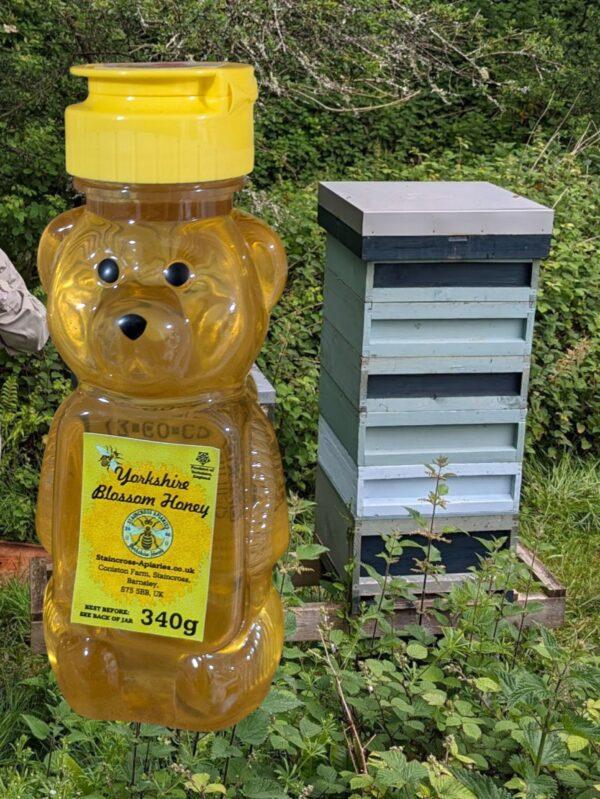 340g Honey Squeeze Bear