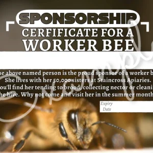 sponsor a worker bee