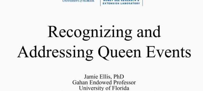 Webinar Spotlight: Jamie Ellis Shares Queen Bee Insights 