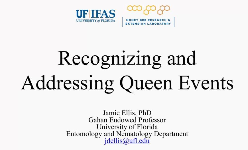 Webinar Spotlight: Jamie Ellis Shares Queen Bee Insights 