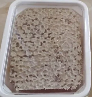 Sunnah honey from Yorkshire