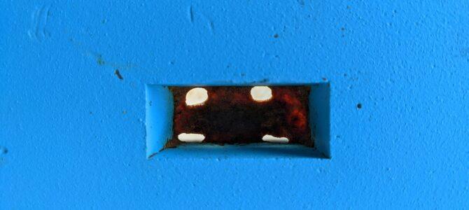 Propolis: The Hidden Source of Bee Health in Every Drop of Honey