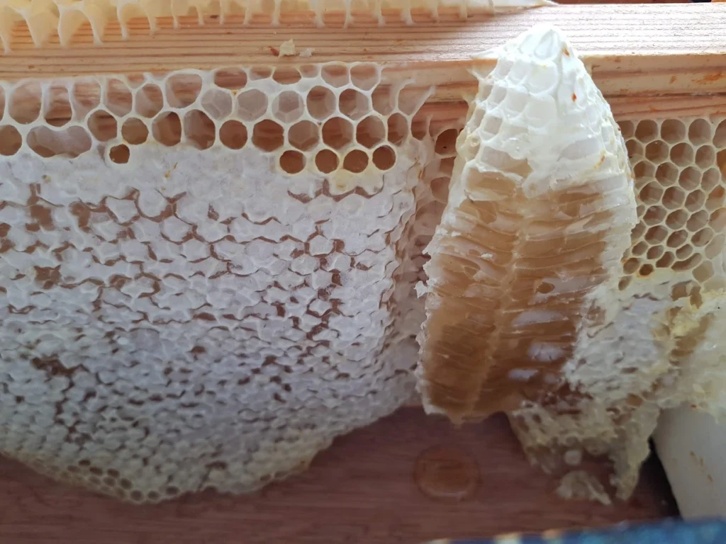 Halal & Sunnah Honey from Yorkshire