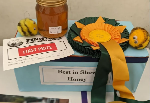 Staincross Apiaries honey awarded Best in Show at Penistone Show