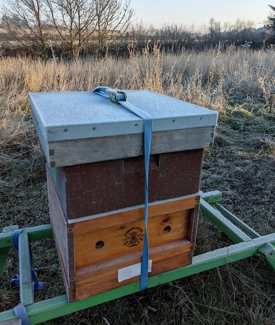 A beehive covered in frost on a winter morning