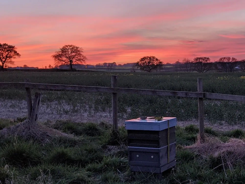 Beehive at Staincross Apiaries with the sun setting behind it